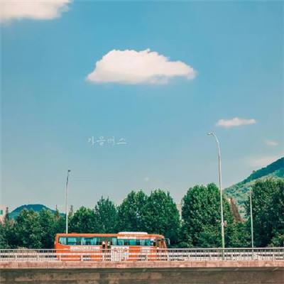 2026 CAIMRS | 本土品牌超过半壁...